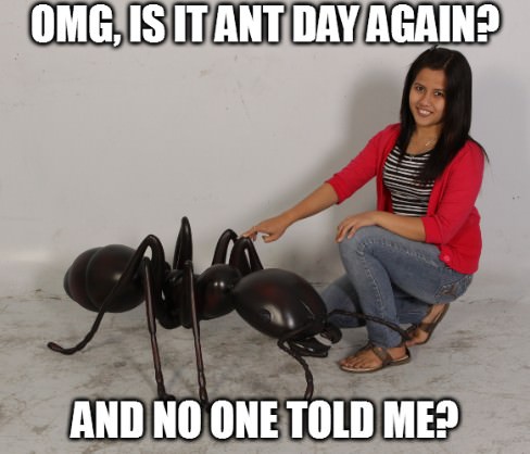 Wait, Is It Ant Day Again?!