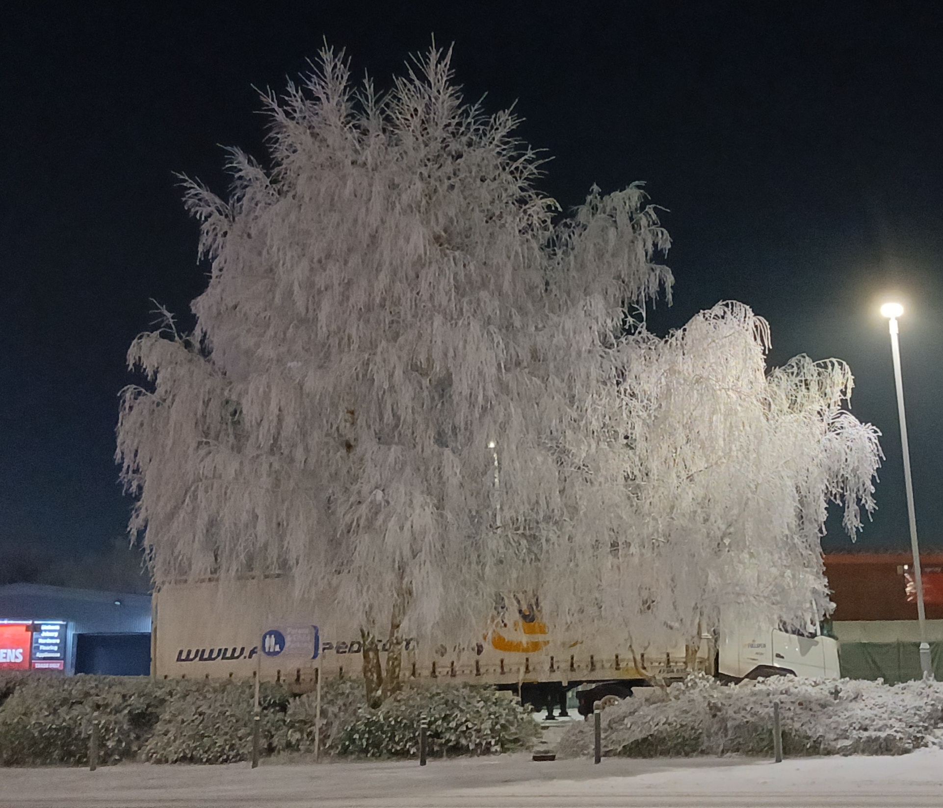 A Frosty Morning: Hoar Frost on January 10th, 2025 in Irlam, UK