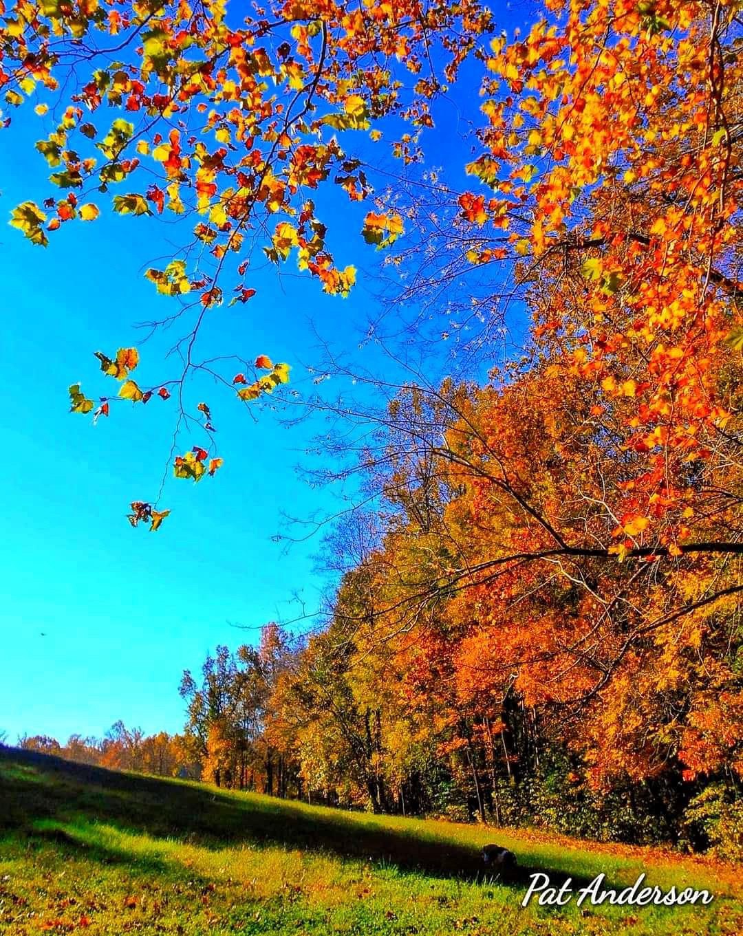 Embracing the Beauty of Autumn