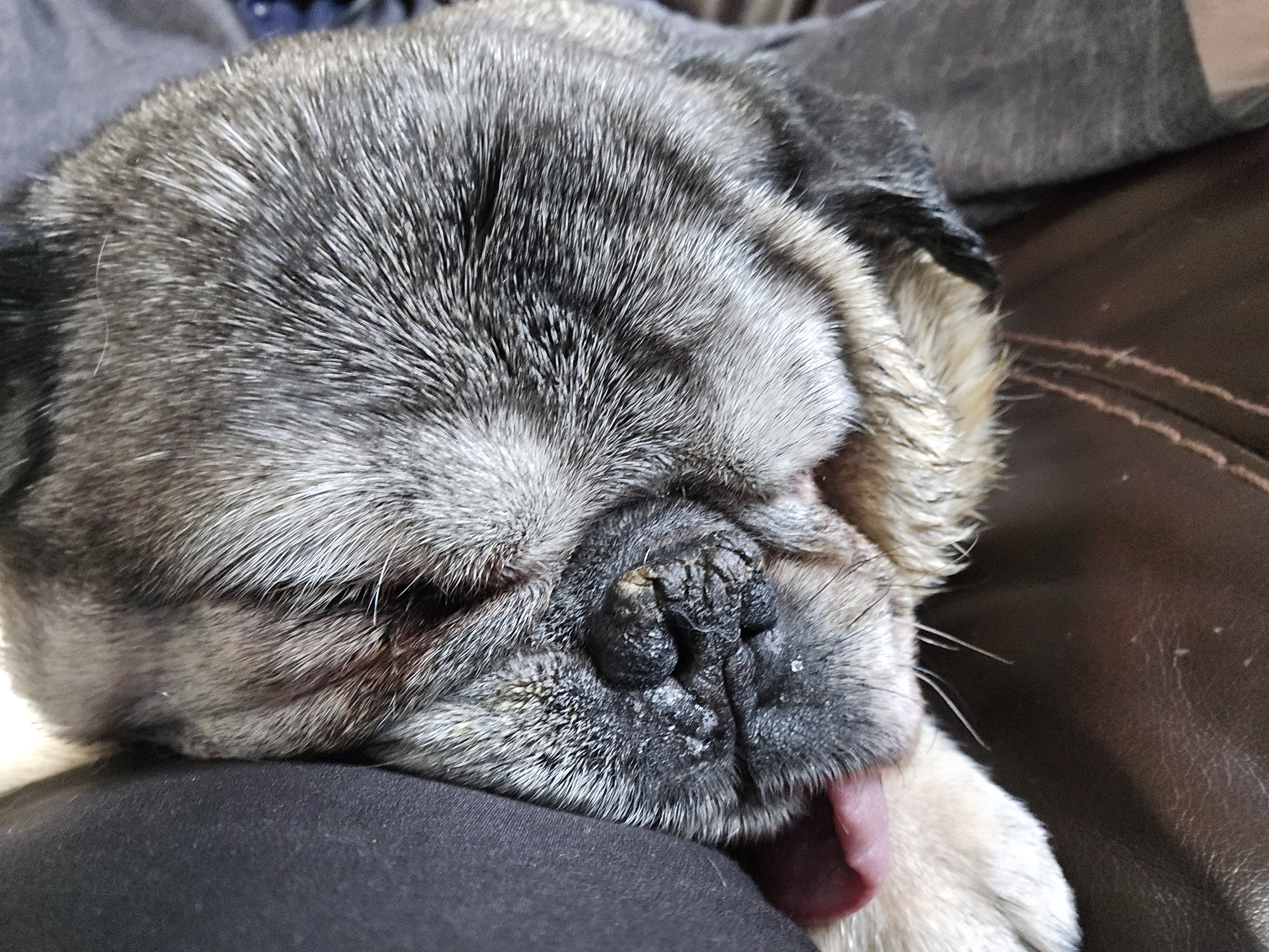 Buster is truly living his best life, and we love to see it!