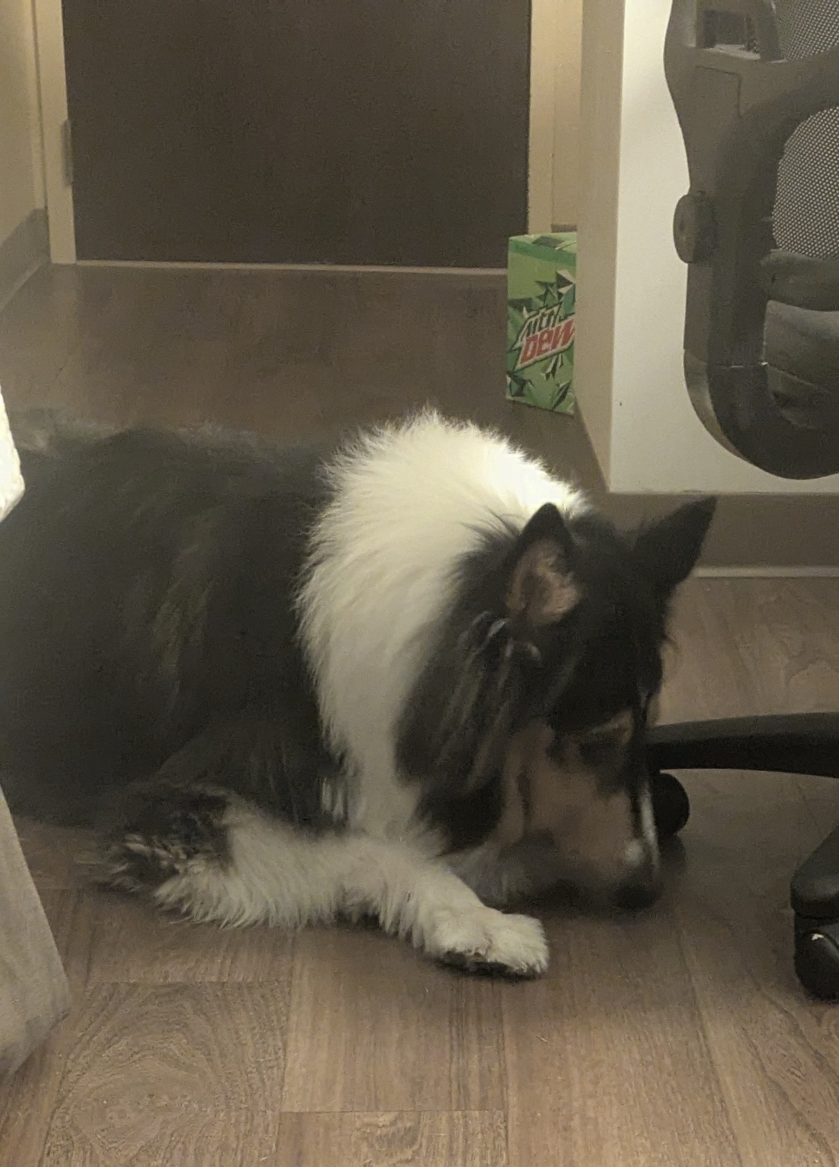 Daily Remi #1: The Heartbreaking End of Pizza Crusts