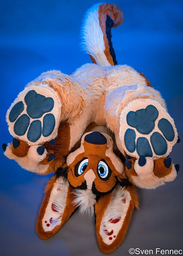 Fluffy Butts and Beans: What More Could You Ask For?