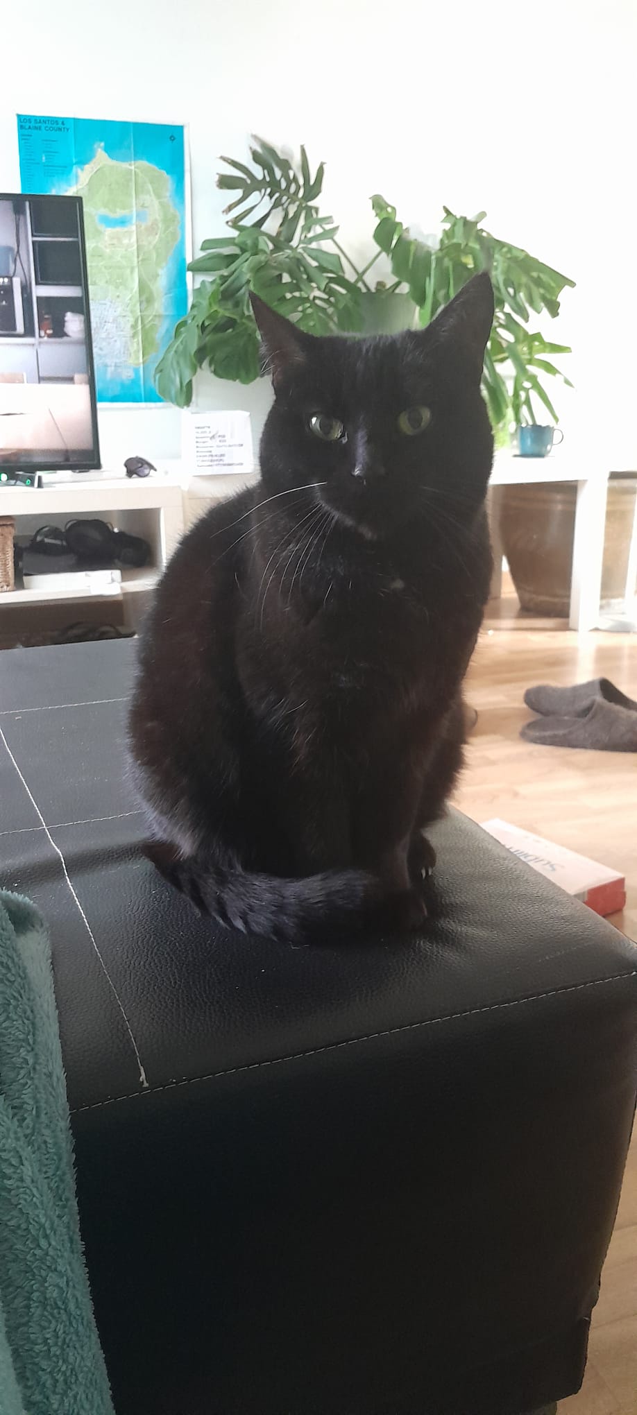 She’s definitely judging, not just staring.