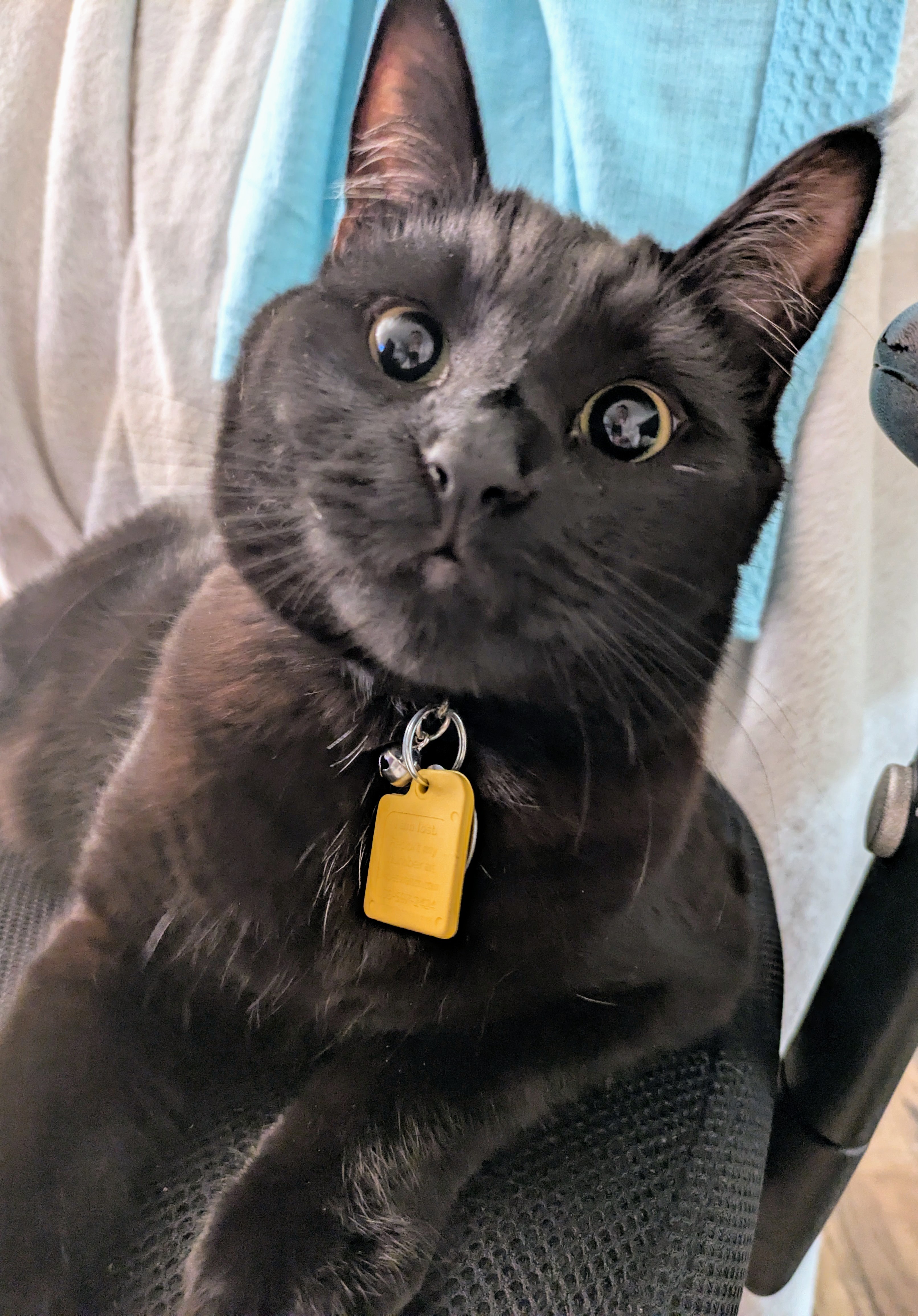 Hello There!