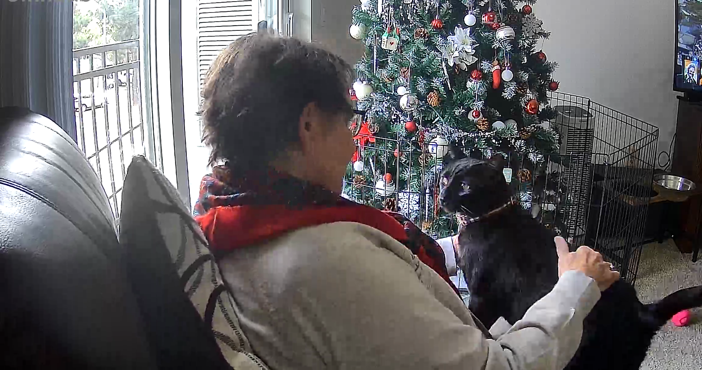A heartwarming moment between Atticus and my mother-in-law