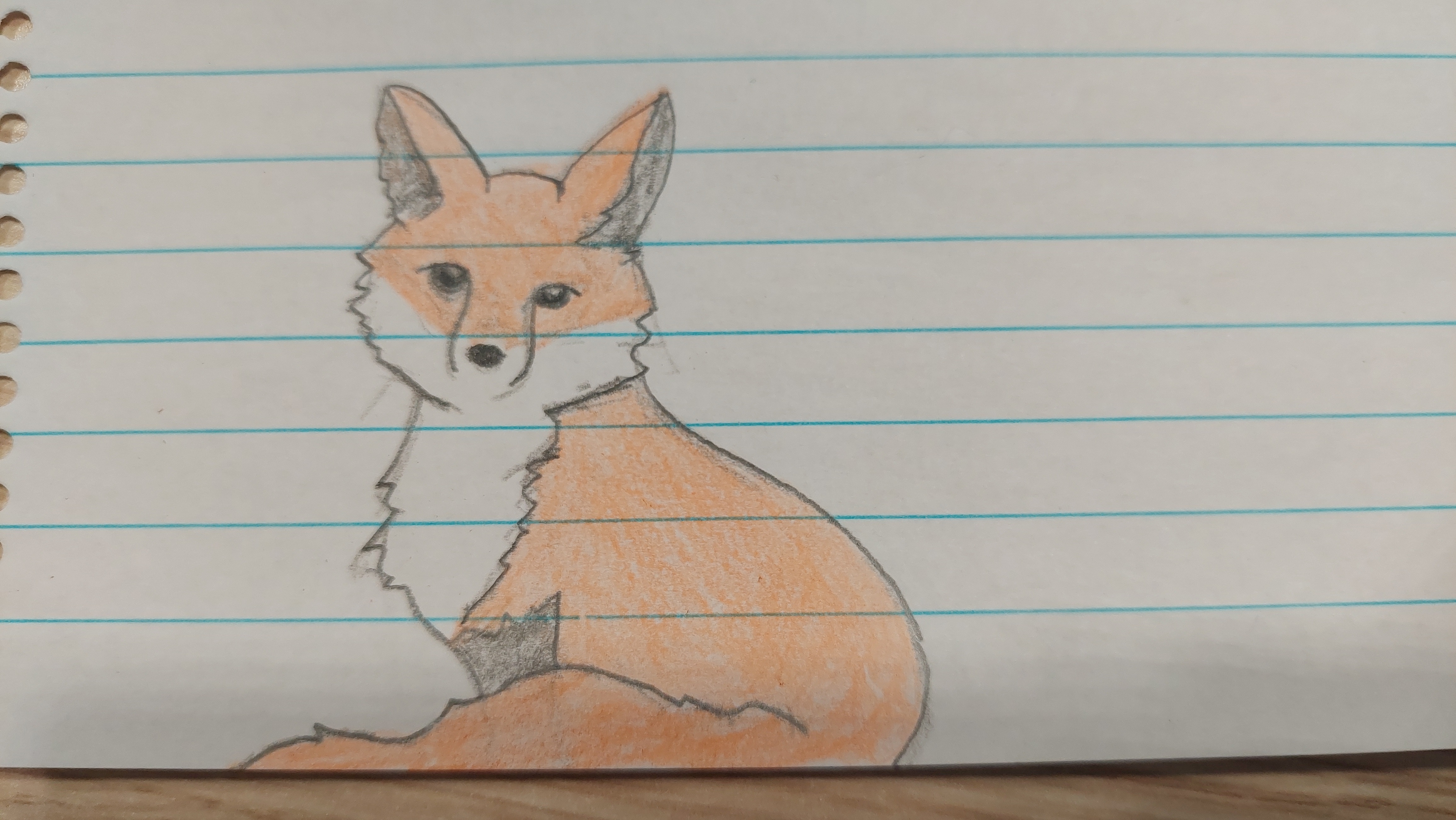 A Fox a Day: Day One Adventures