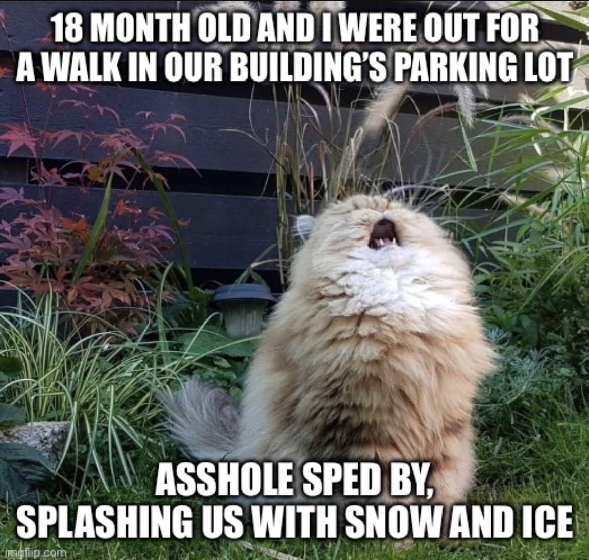 Screaming into the Void: A Cry for Help