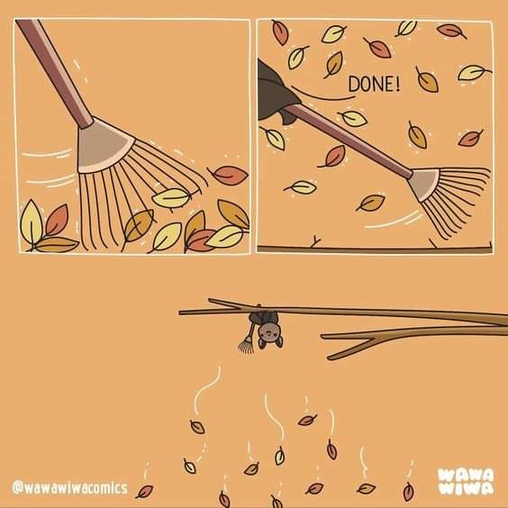 Tackling those little chores that fall on us
