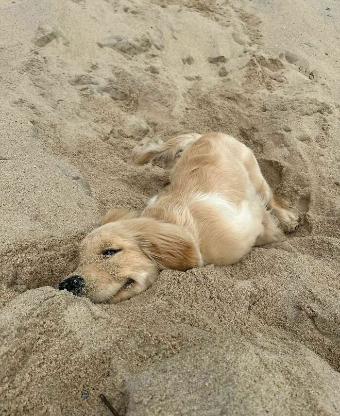 So You Really Can't Stand Sand?
