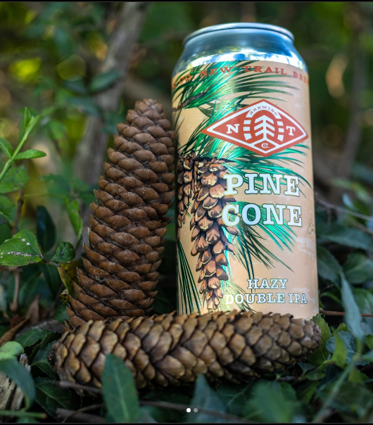 Sipping on Pinecone Infusions