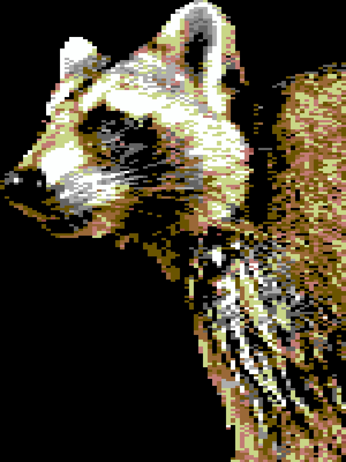 Meet the Trash Panda Who Stopped by My Porch: An 8-Bit Tribute