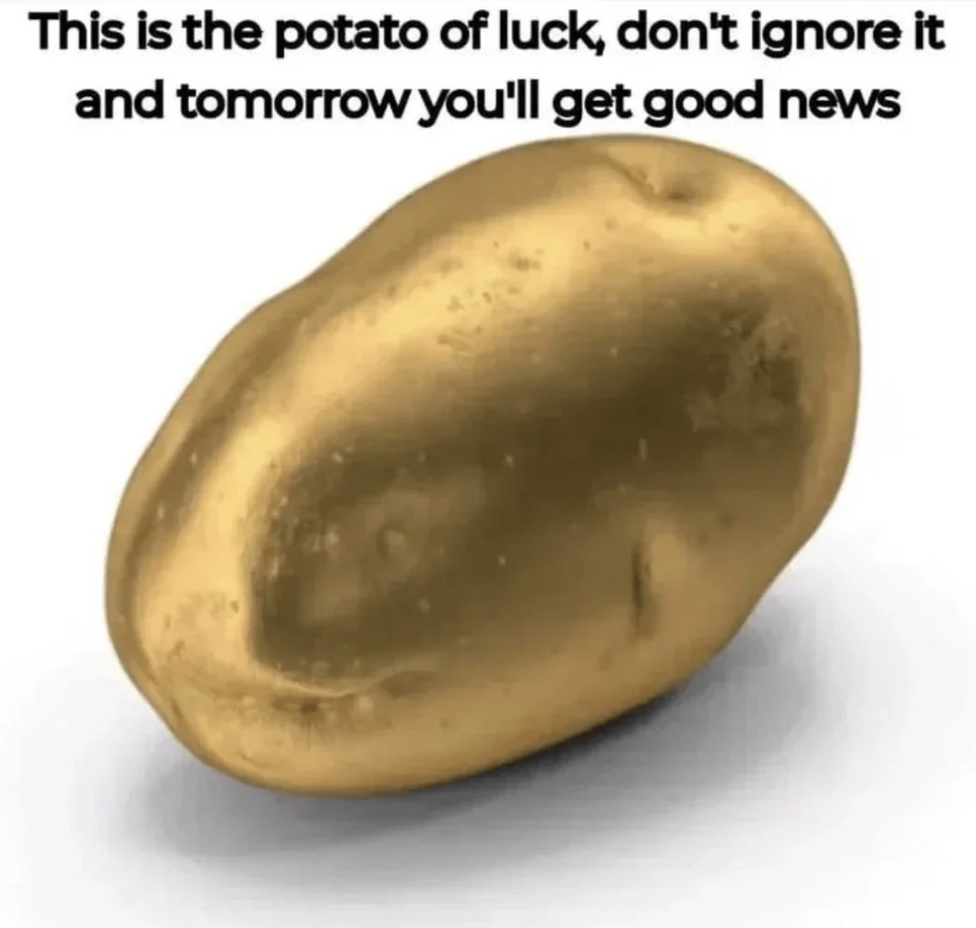Here You Go, Bucky: A Gift Just for You!