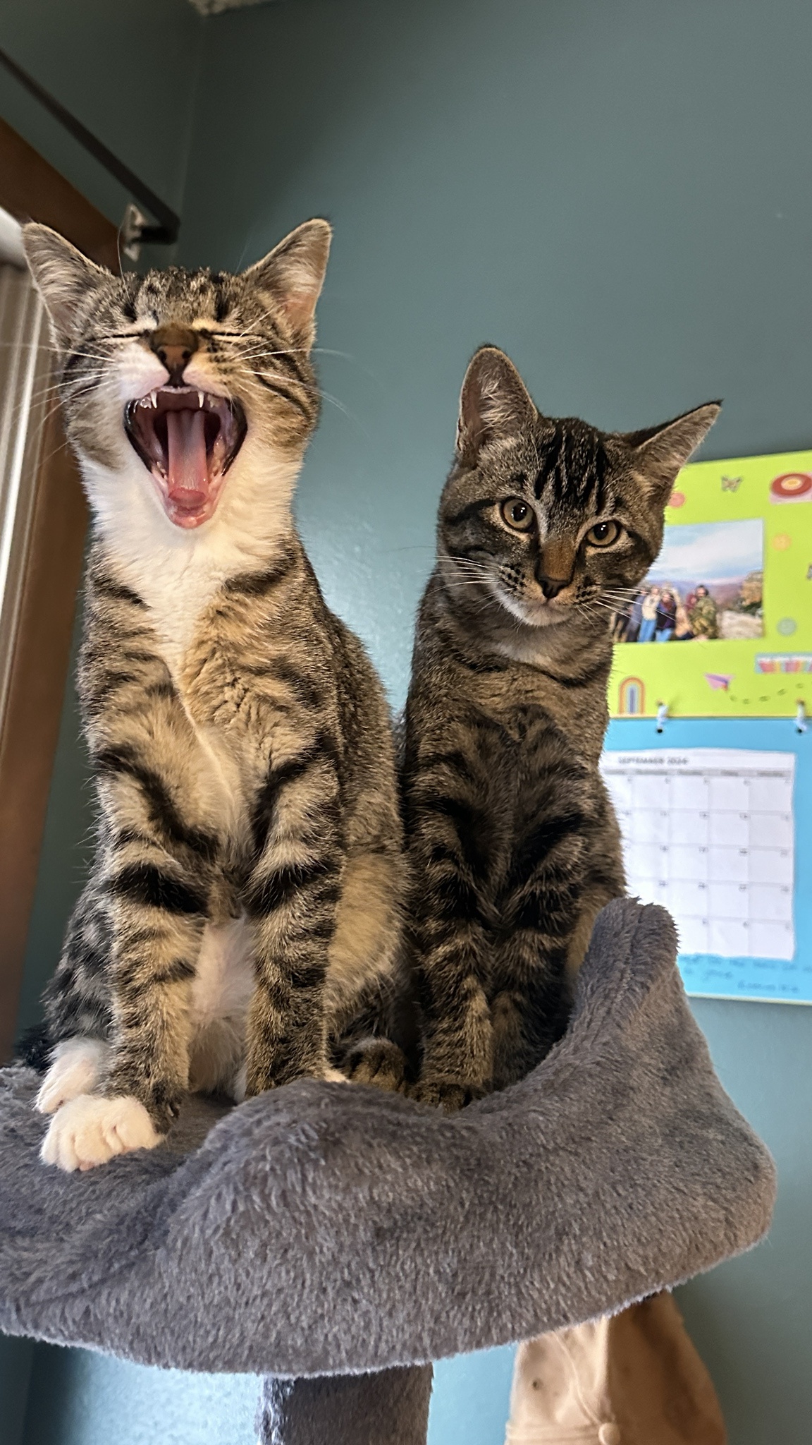 MOOOOM, PLEASE STOP!