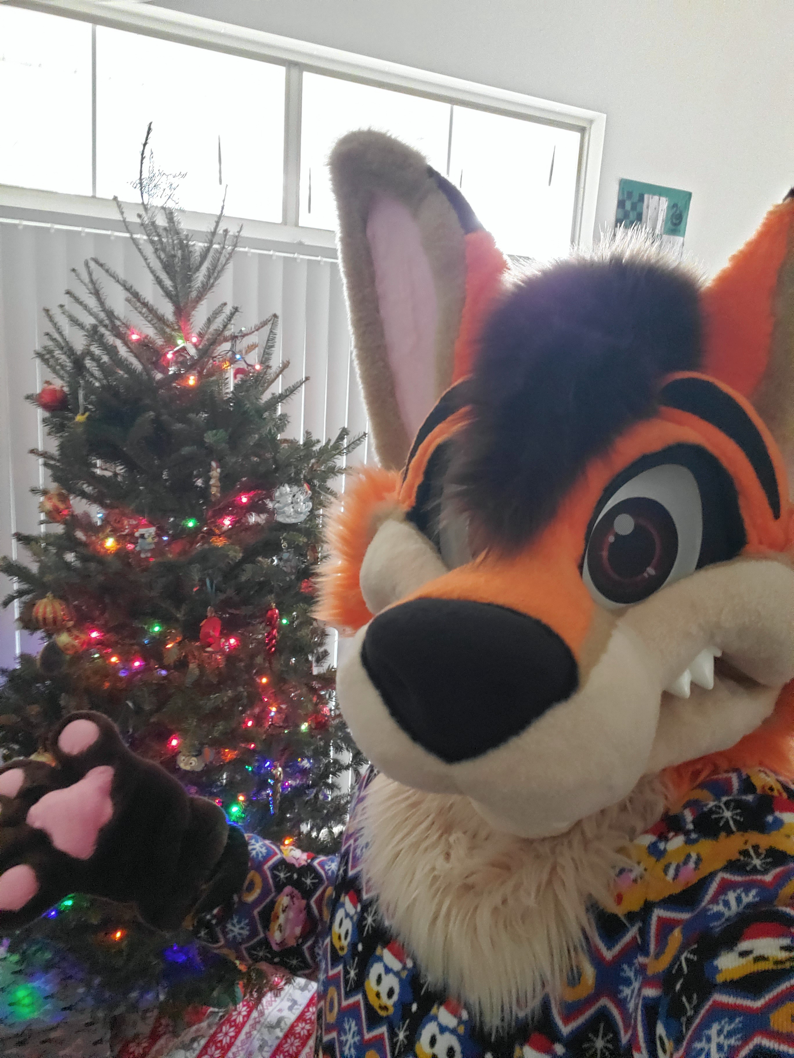 A Merry Christmas from a fluffy, festive fox!