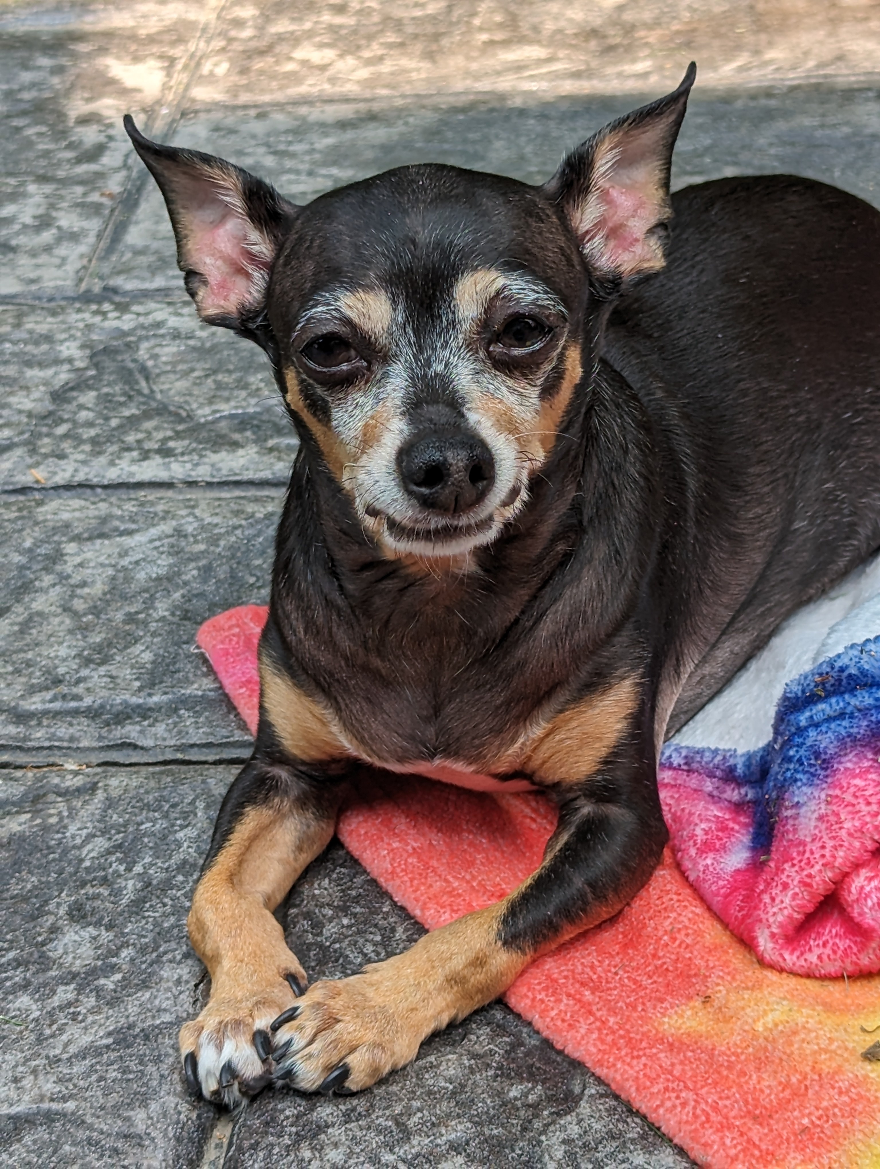Relaxing Moments on Jackson's Patio