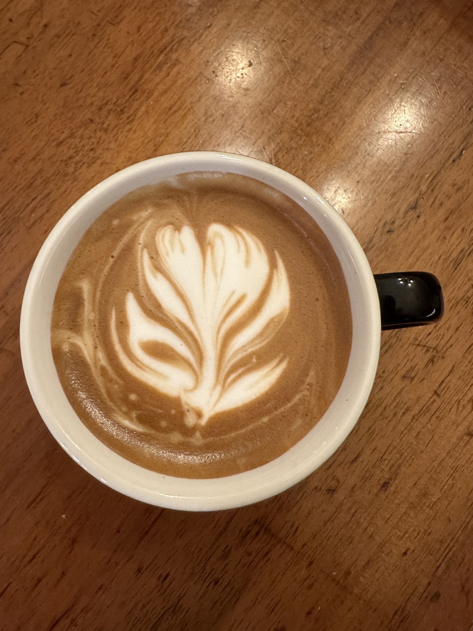 Latte Art Fails but the Flavor is Spot On