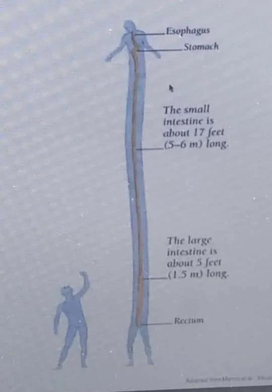 The Legend of Long Long Man