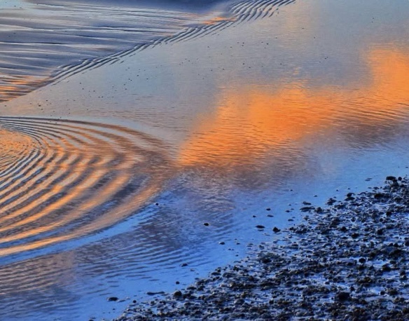 Mirrors of the Mind: A Deep Reflection