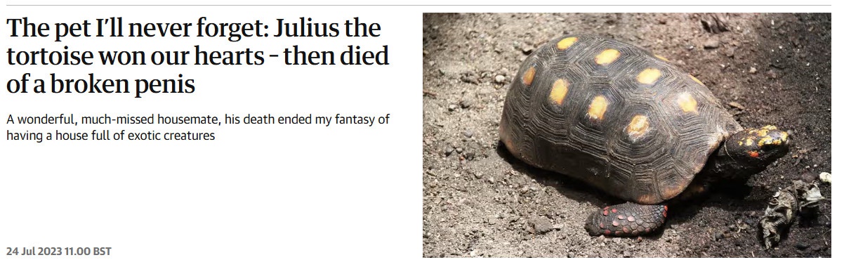 Real News Articles from The Guardian
