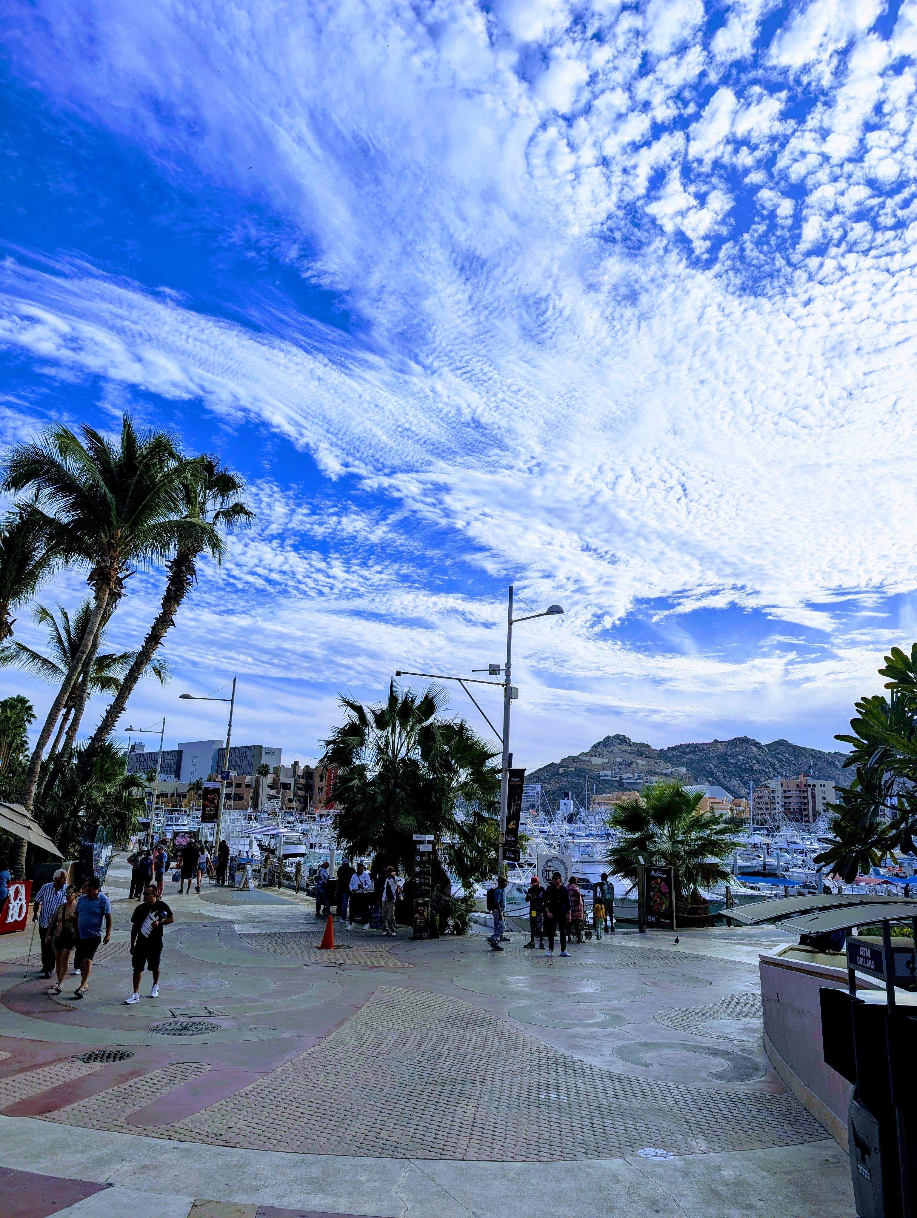 Cabo Adventures Await!