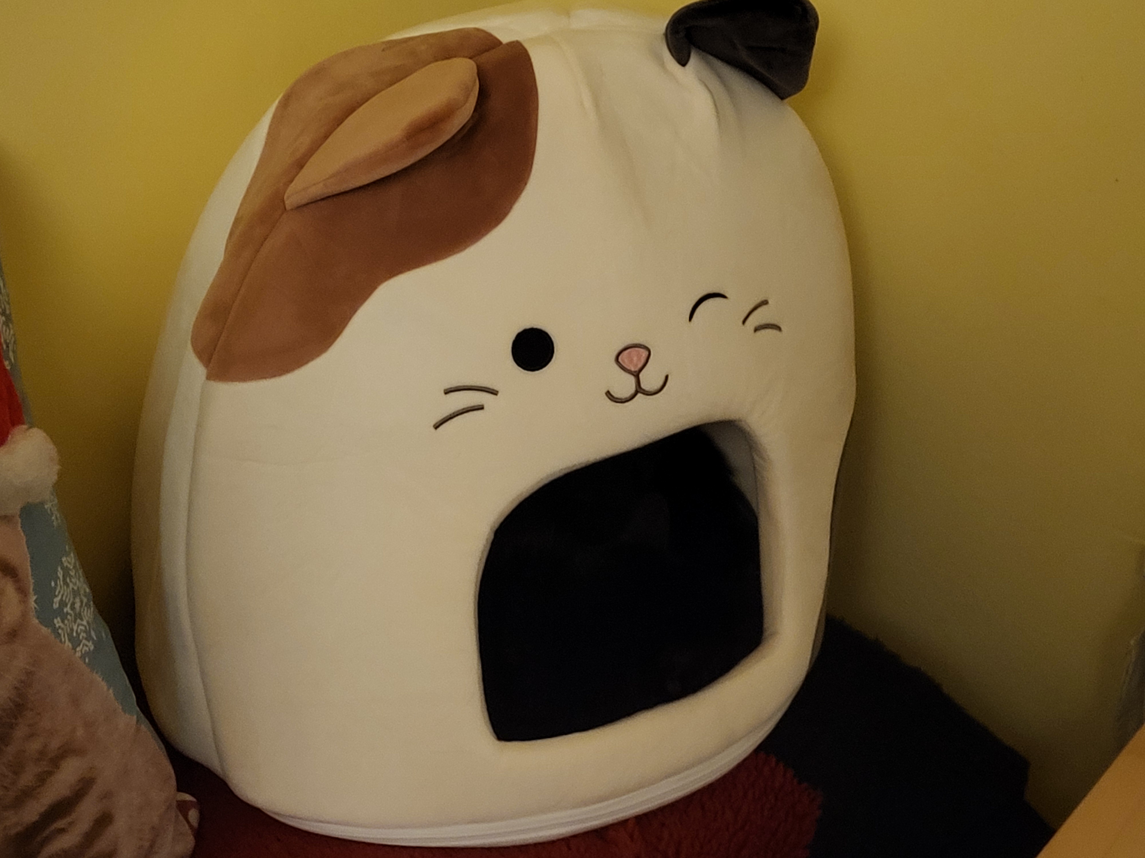 Dougie and Dixie Enjoying Their Squishmallow Cat Bed