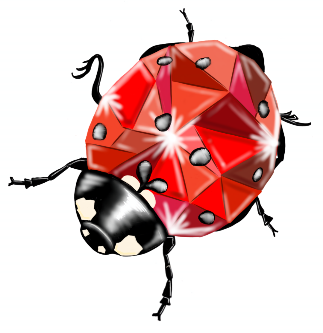 Meet the Ruby Diamond Ladybug!