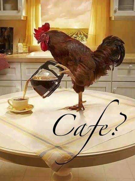 Coffee Confusion: What's Happening Here?