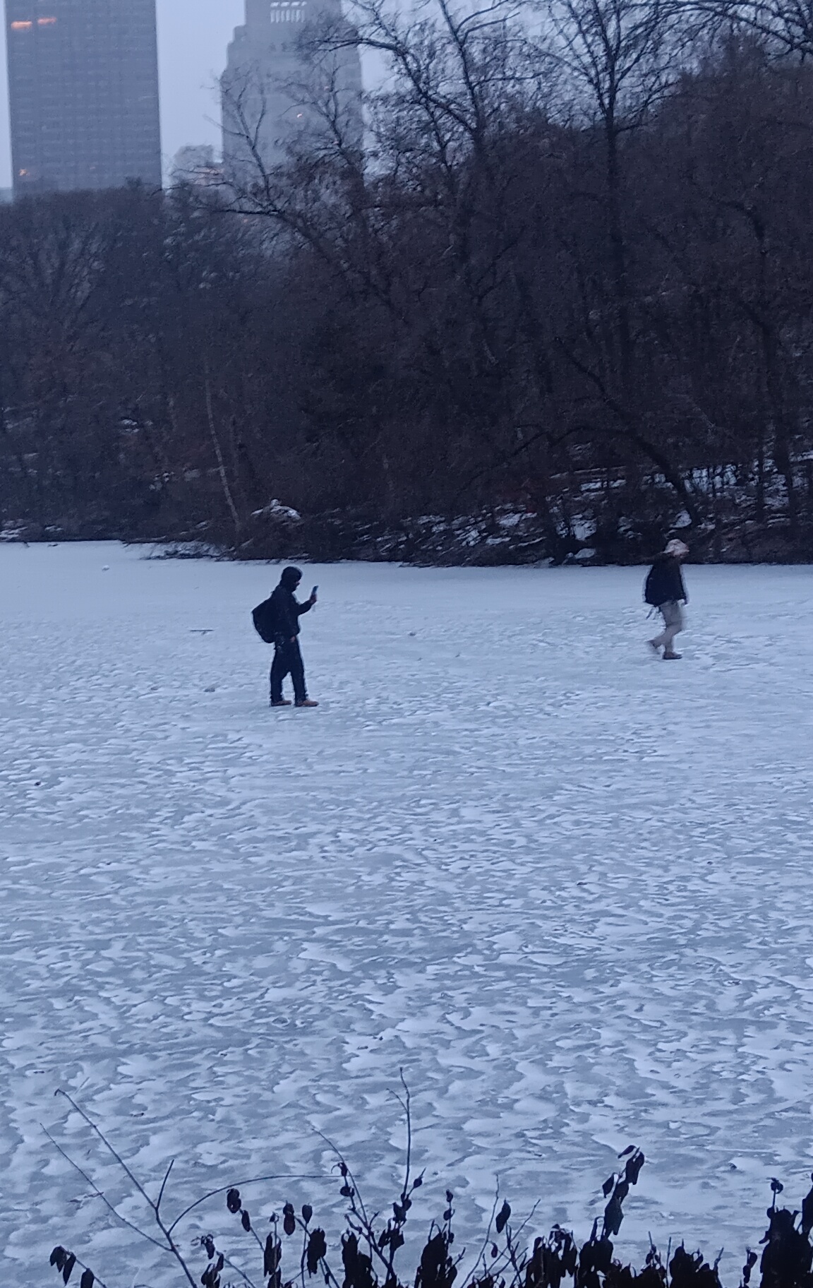 When They Warn You About Thin Ice, But You're a New Yorker