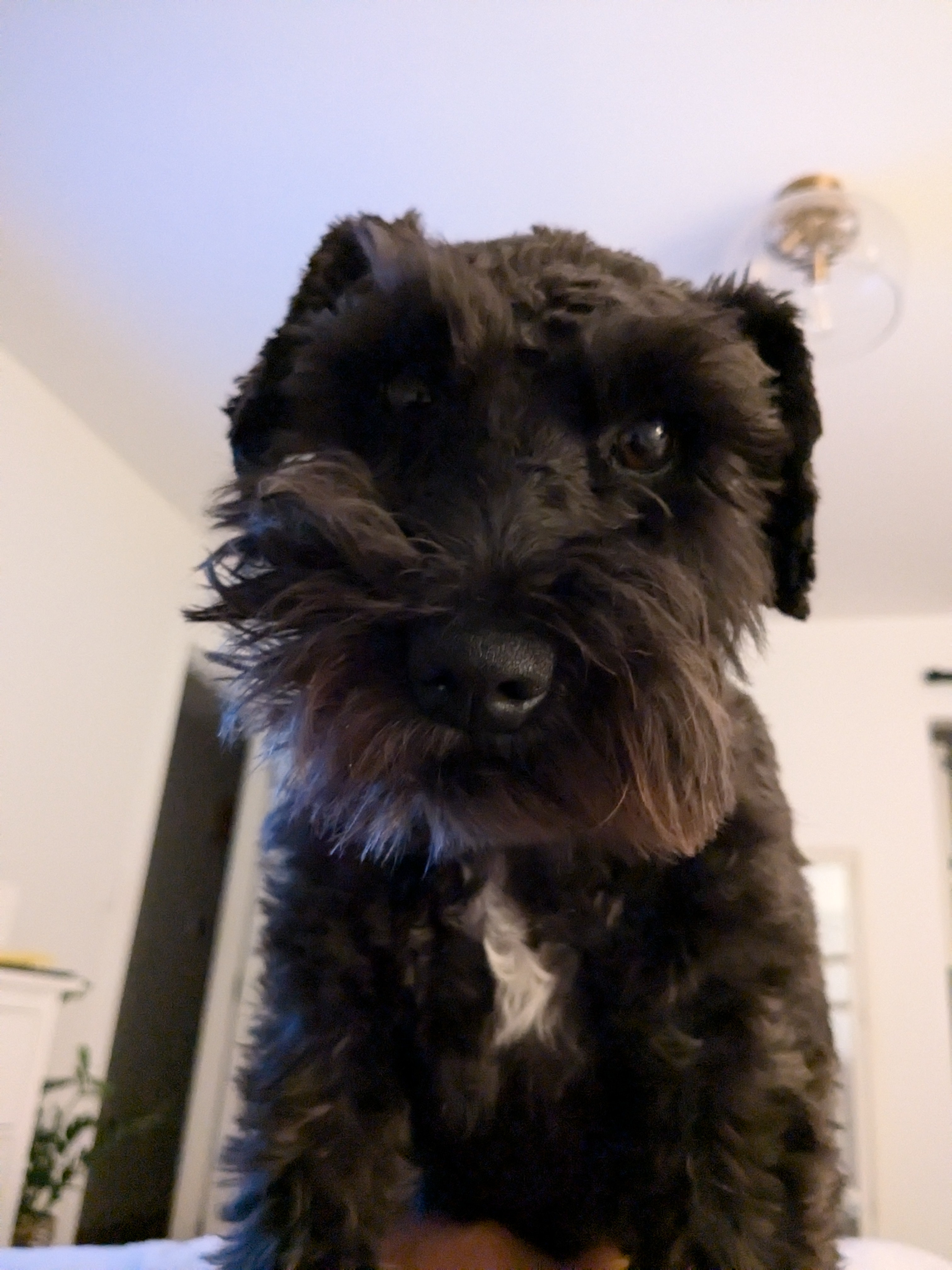 Your Daily Dose of Olive