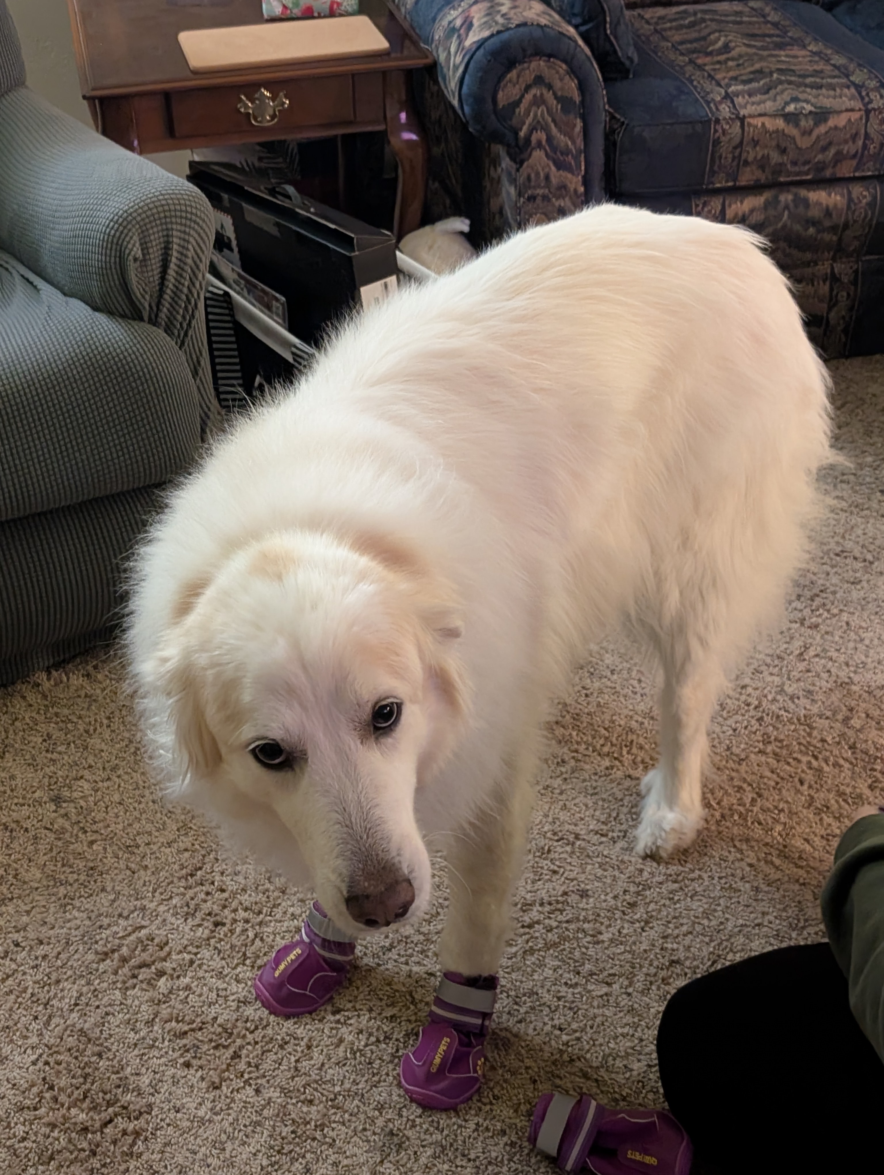 Embracing the Chill: Winter Day 829