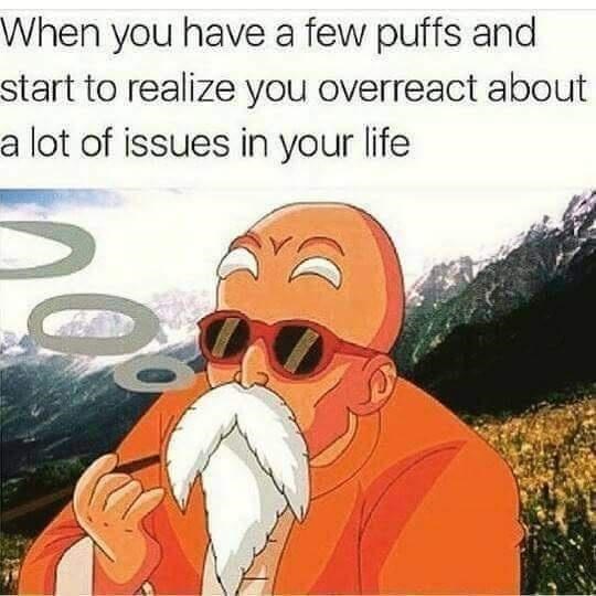 A Tiny Collection of Hilariously Stolen Memes and More