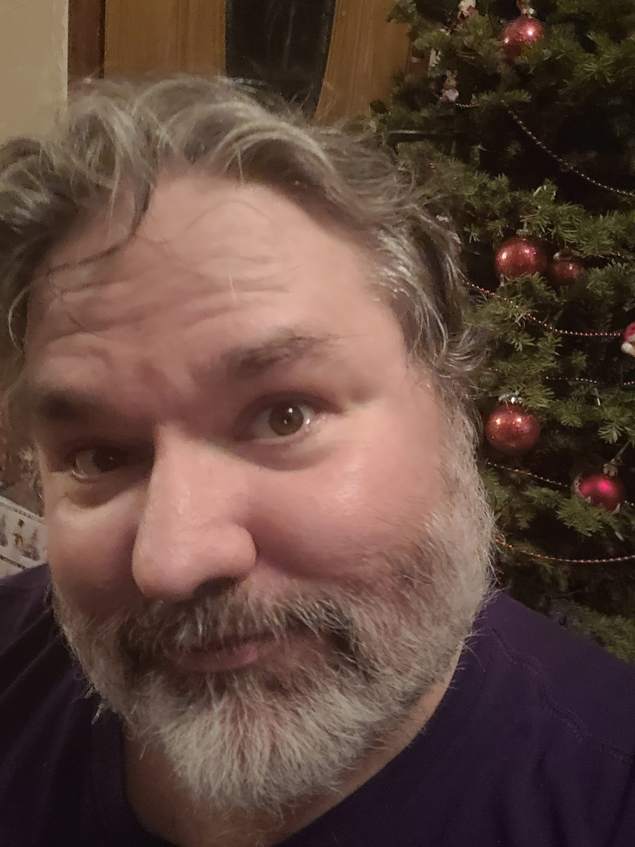 Capture the Moment: Christmas Selfie Time!