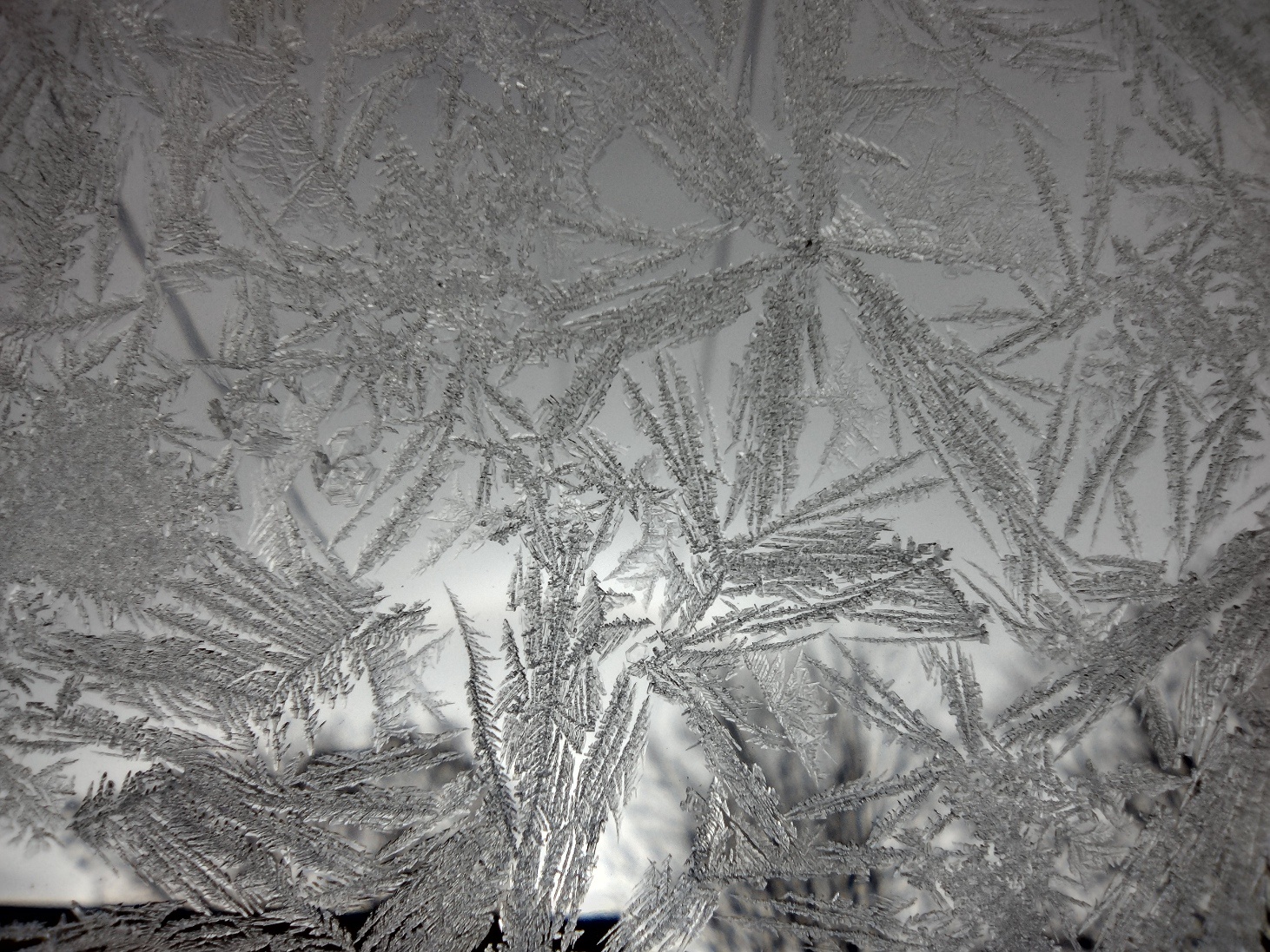 Frosty Windshield Chronicles: December 15, 2024 in Connecticut