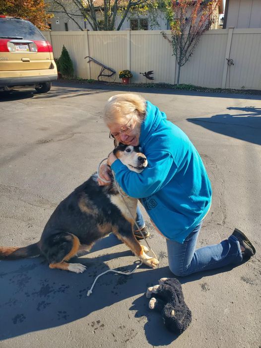 SWEETS has been joyfully reunited with his owner!