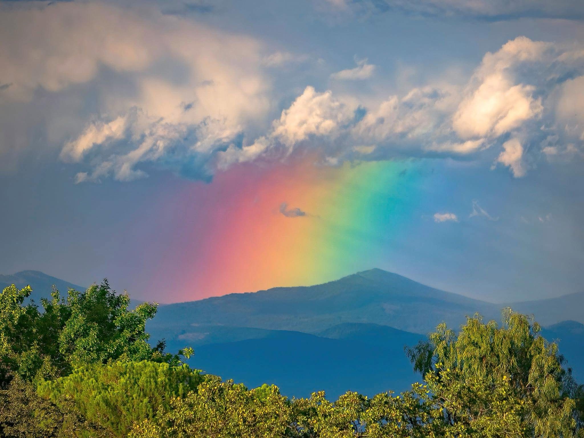Chasing Rainbows: A Colorful Journey