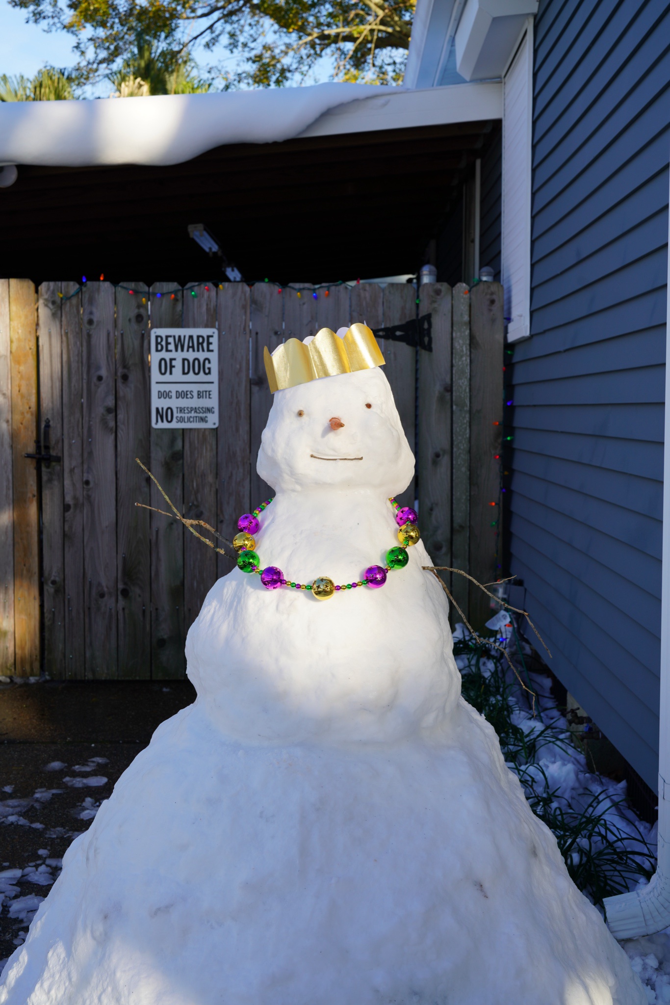 Sneauxday Shenanigans in Crescent City!