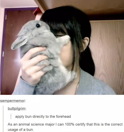 Bun: The Ultimate Forehead Remedy!