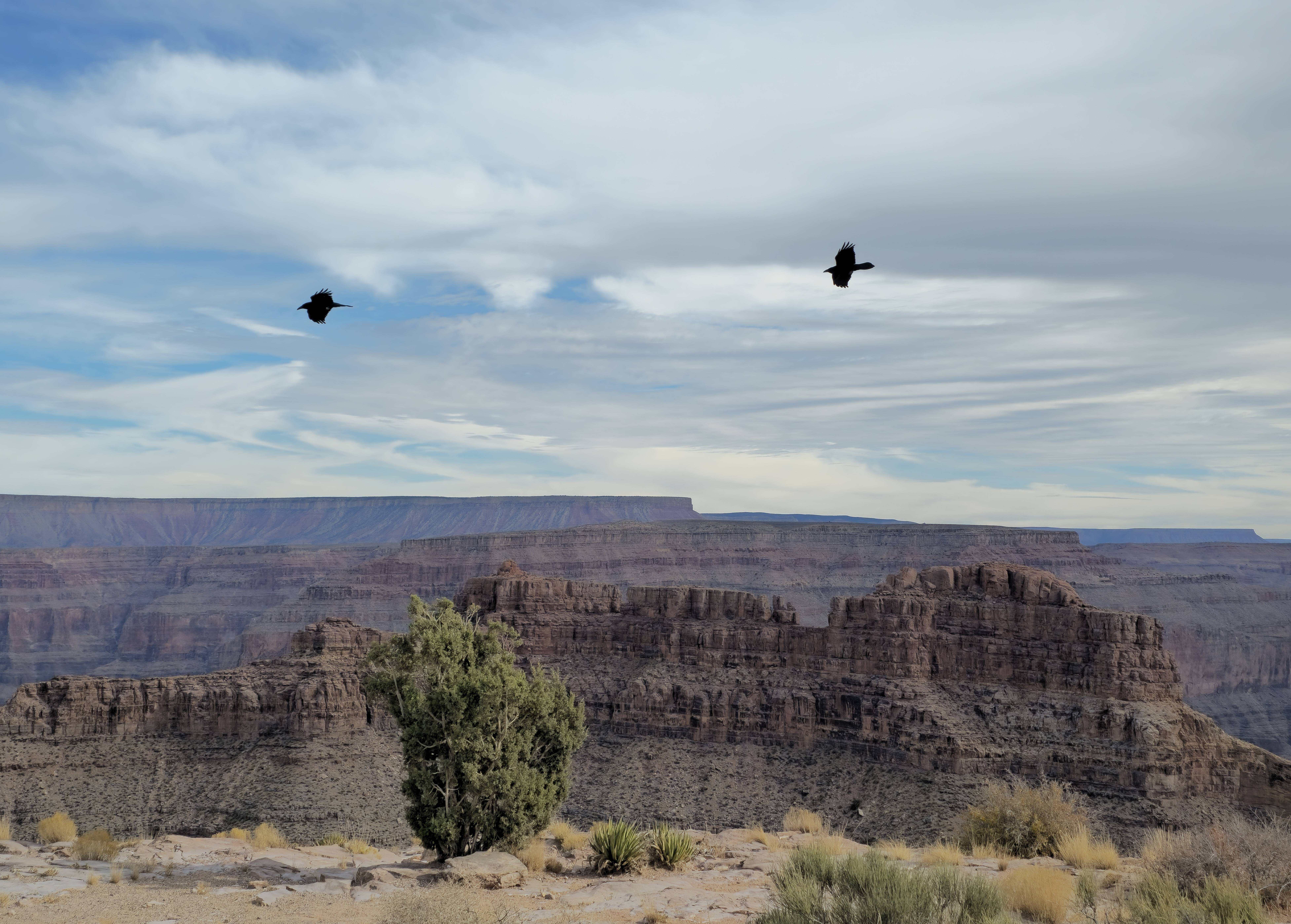 Exploring the Majestic Grand Canyon West in Arizona