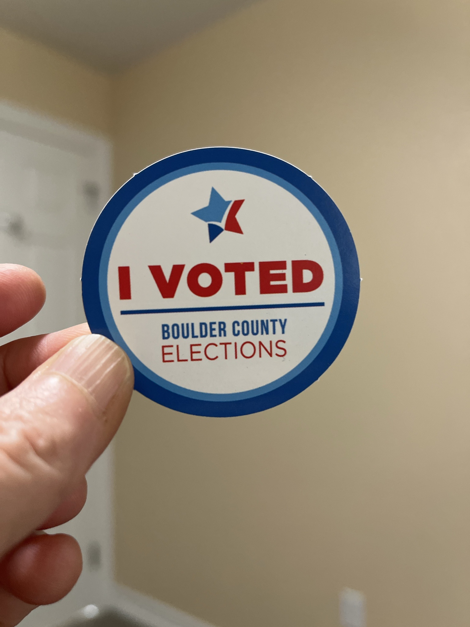 I made sure to vote for every single candidate on the ballot!