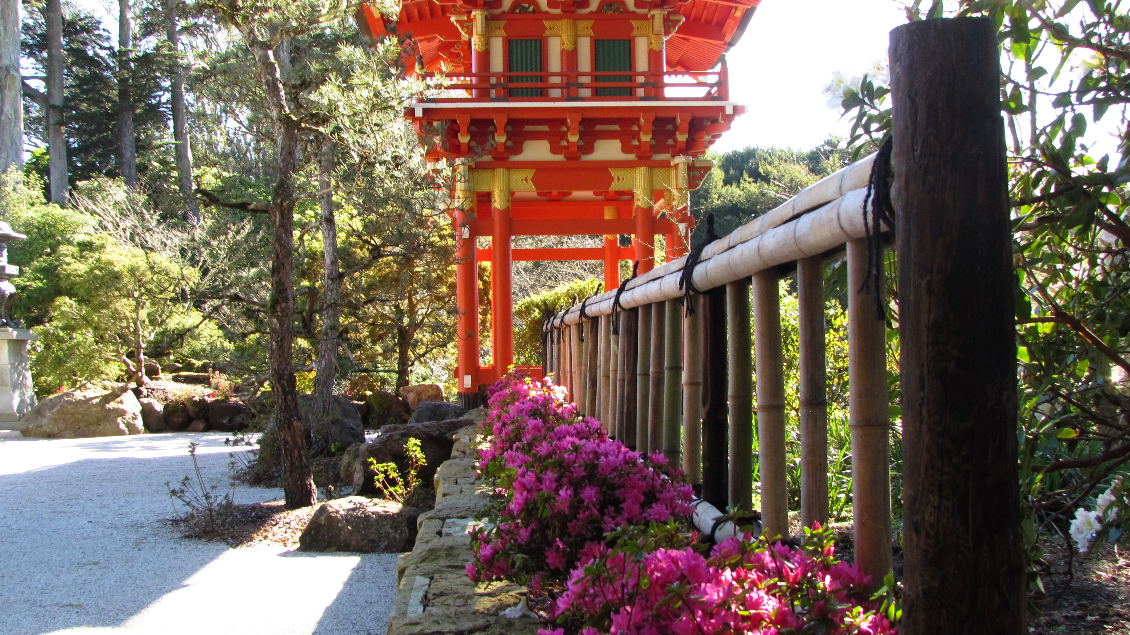 A Tranquil Day at the Japanese Tea Garden