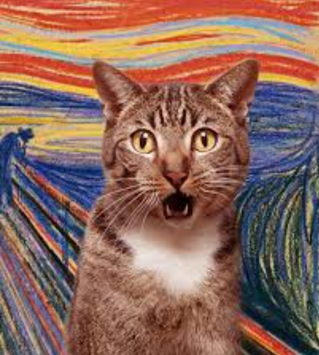 The Adorable Miauw: A Feline Delight