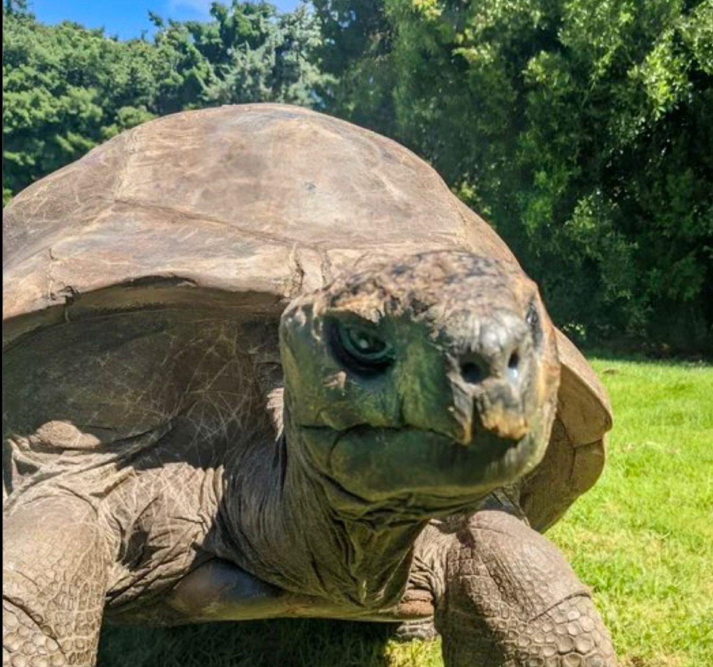 Meet Jonathan: Born in 1832, he's 192 years young and was around 30 years before the Civil War. Fun fact: he's also Mitch McConnell's younger brother!