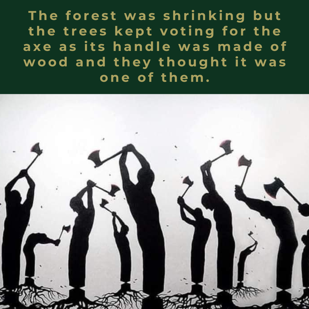 Lost in the Enchantment of the Forest