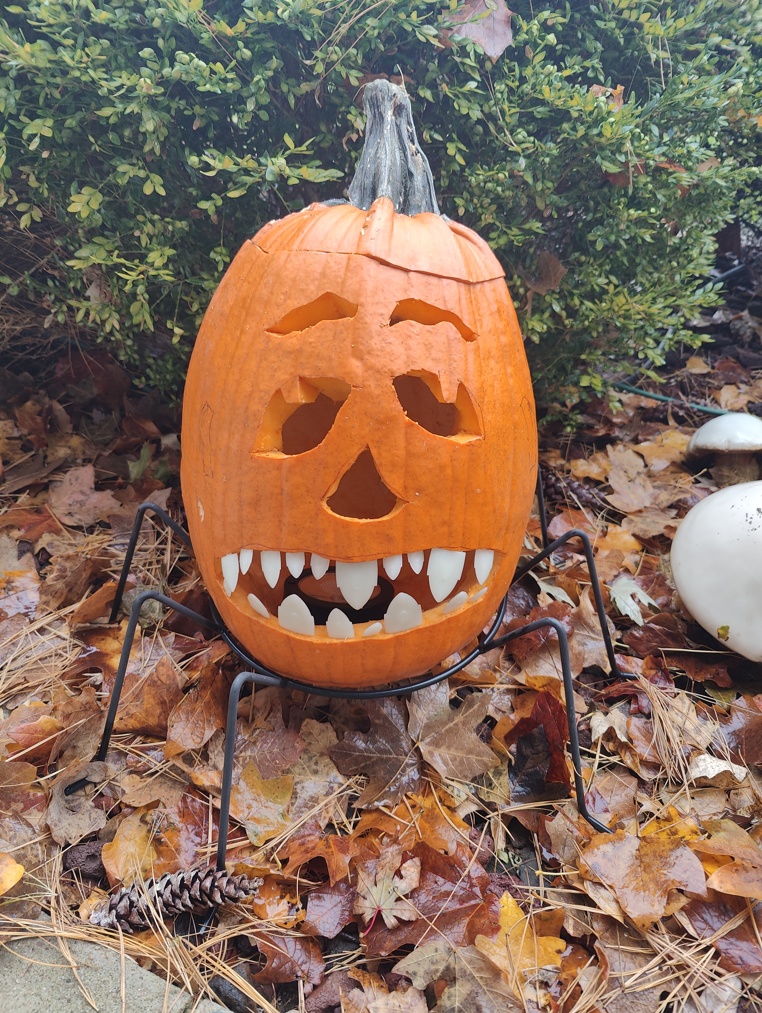 Embracing the spooky vibes!