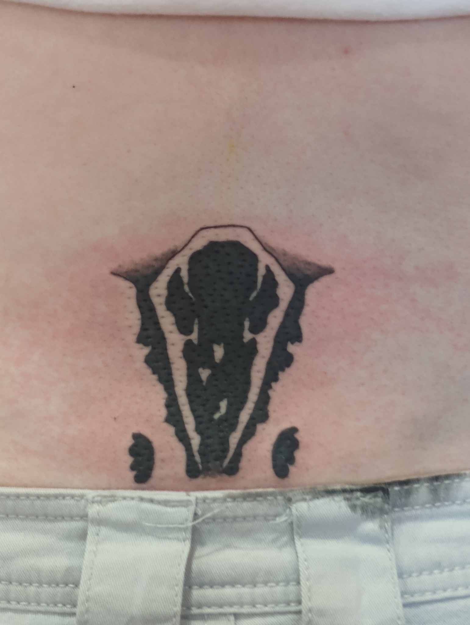 I Tattooed My Cat's Unique Forehead Pattern on My Lower Back