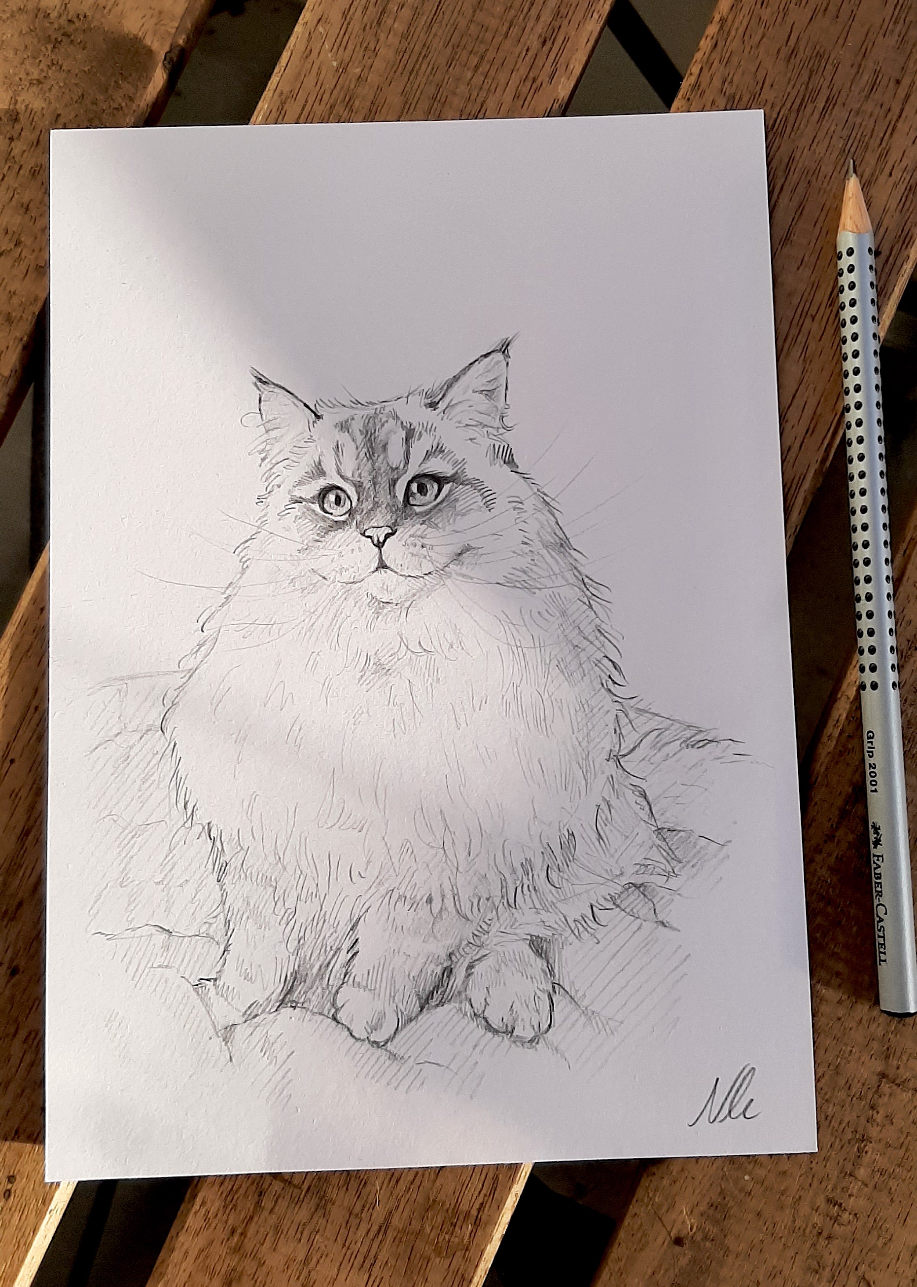 Captivating Portrait of the Beautiful Coco