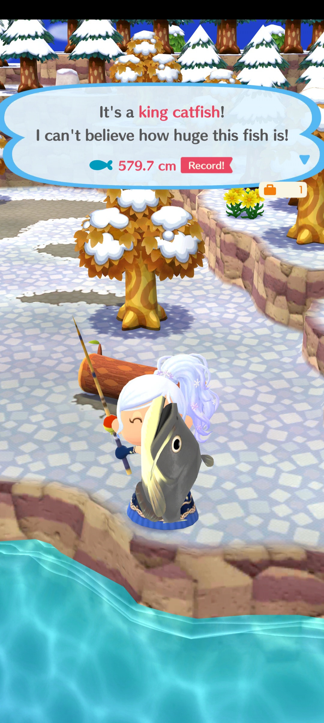 One of the last fish I reeled in before Pocket Camp went belly up.