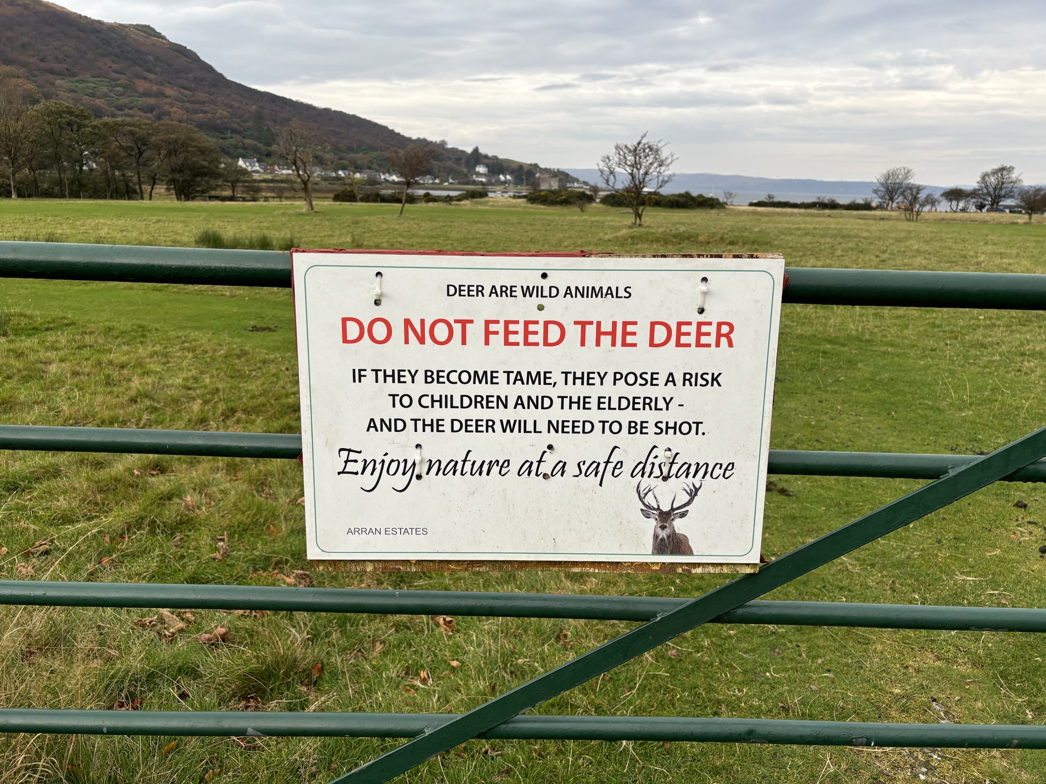 Attention Kids: Don't Feed the Deer or We Might Have to Take Action!