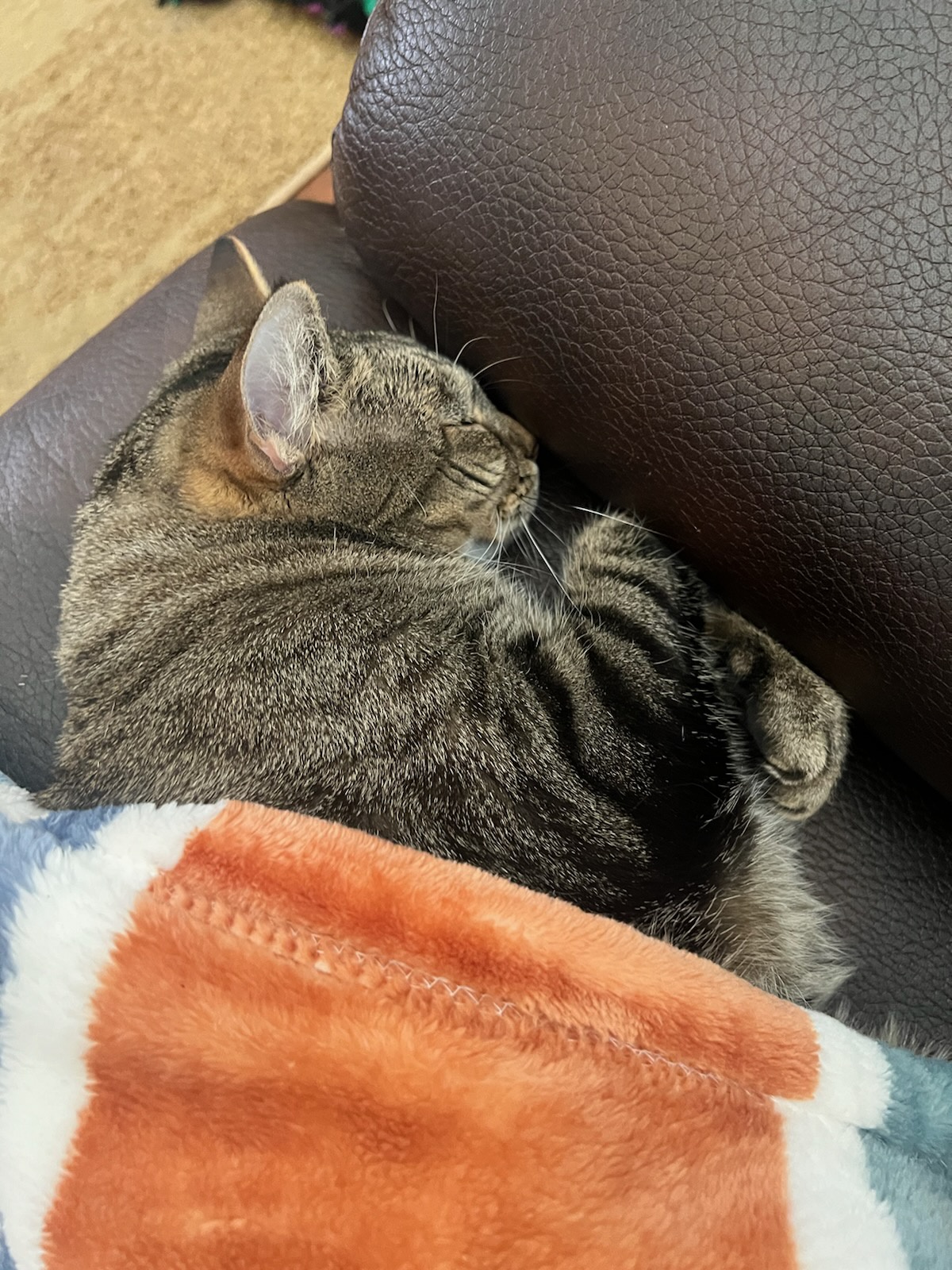 Please, No Photos... I'm Not Ready for My Close-Up