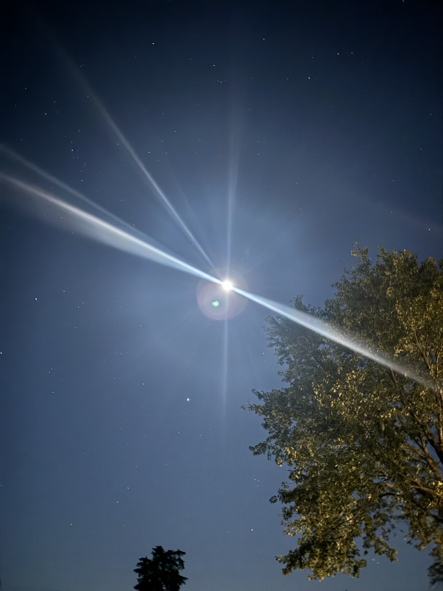 A Magical Night: The Moon, My Dog, and a Comet!